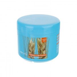 ماسک مو نلی مدل Wheat Germ Protein حجم 500 میلی لیتر