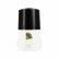 دئودورانت مردانه سینره با رایحه میوه کاج Pine Scent حجم 50 میلی لیتر