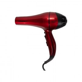 سشوار حرفه ای پرینسلی مدل PR228